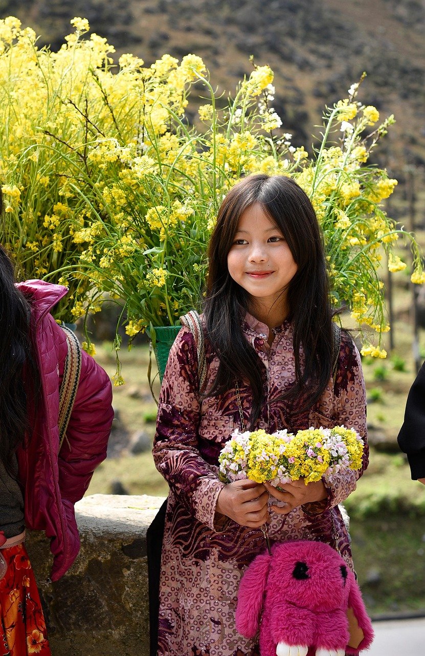 ha giang, vietnam, flower reform, spring, yellow flowers, young girl, child, vietnam, vietnam, vietnam, nature, vietnam, child, child, child, child, child