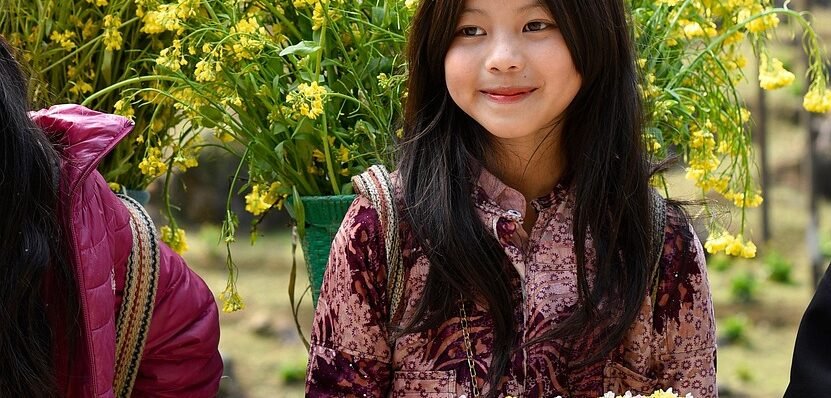 ha giang, vietnam, flower reform, spring, yellow flowers, young girl, child, vietnam, vietnam, vietnam, nature, vietnam, child, child, child, child, child