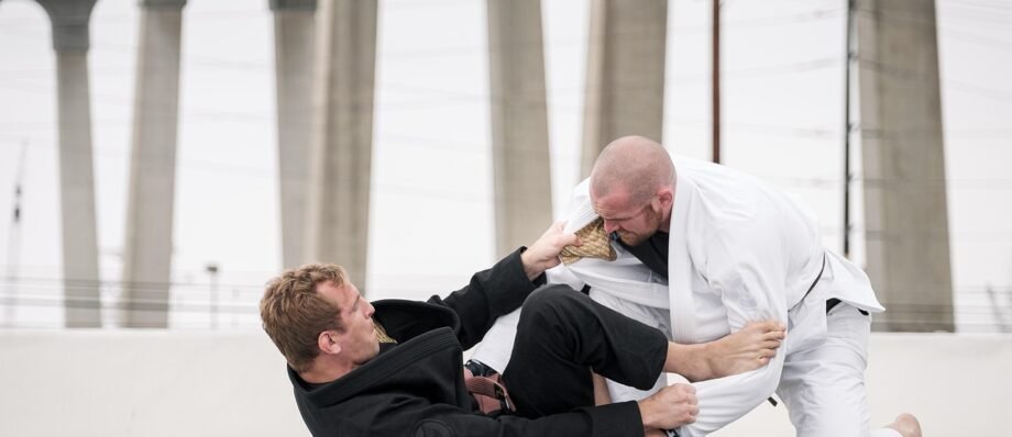 men, jiu-jitsu, jujutsu, sports, athlete, fight, mma, fight, fight, fight, fight, fight